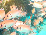Pousada em Fernando de Noronha
